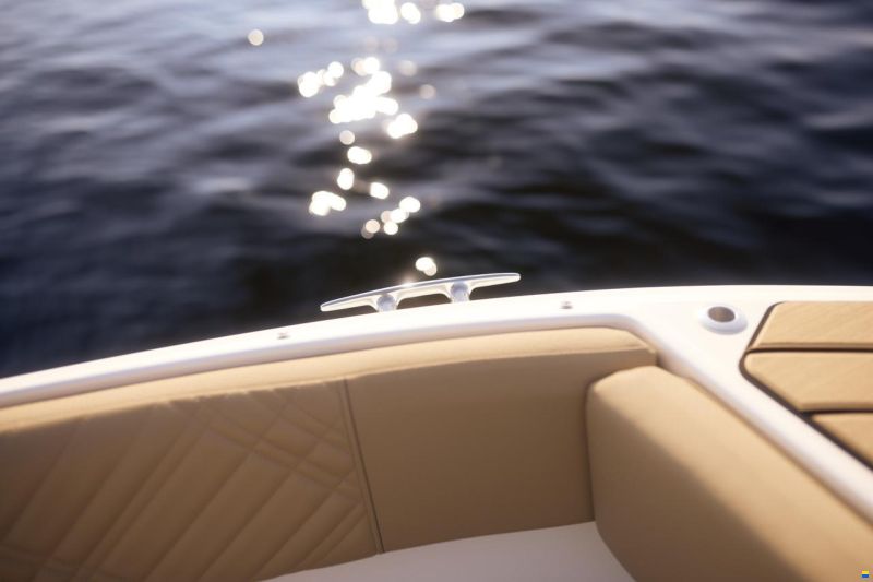 Sea Ray SDX 270 Surf