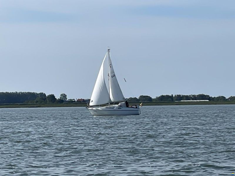 Rethana 24