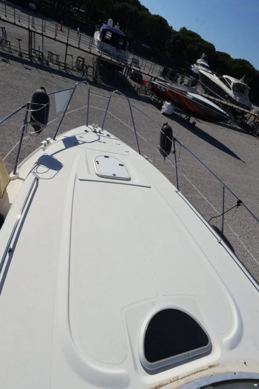 Sealine S34 Natante
