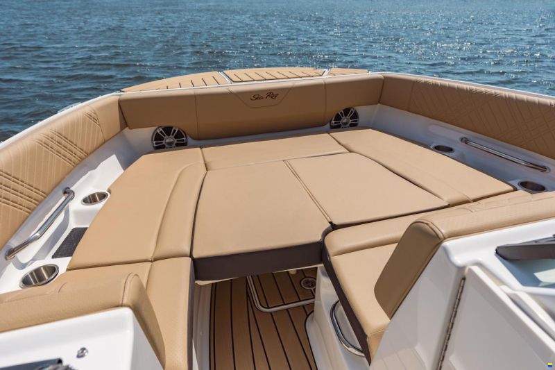 Sea Ray SDX 270
