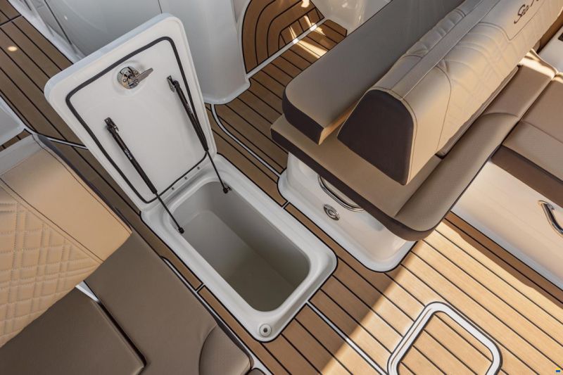 Sea Ray SDX 270