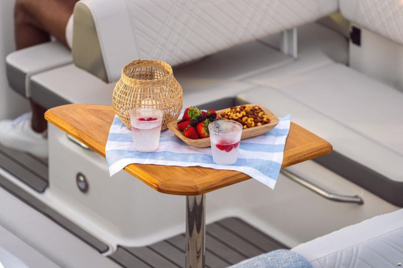 Sea Ray SDX 270