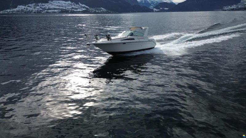 Sea Ray 270 DA