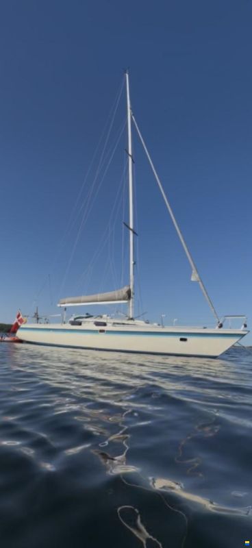 Luffe 37