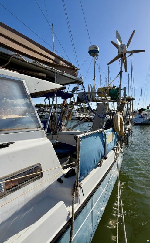 Kirie Ketch Fifty 40