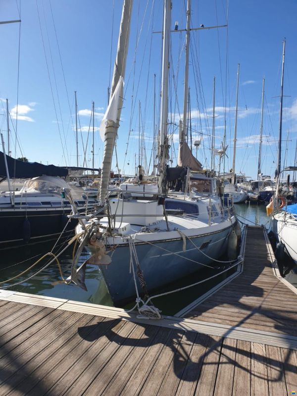 KIRIE KETCH FIFTY 40