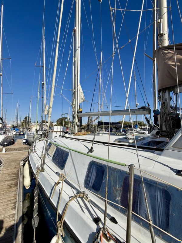 Kirie Ketch Fifty 40