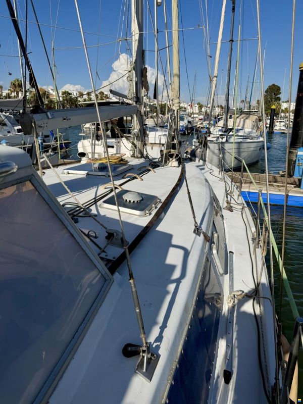 Kirie Ketch Fifty 40