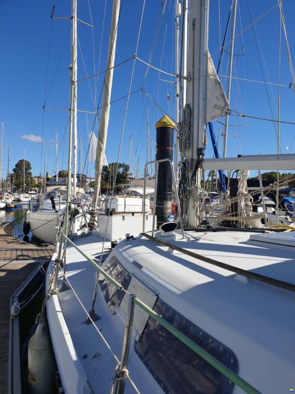KIRIE KETCH FIFTY 40