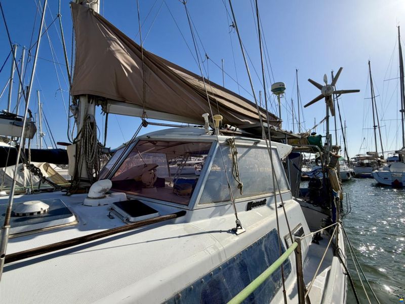 Kirie Ketch Fifty 40