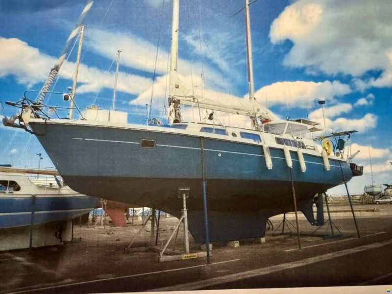 KIRIE KETCH FIFTY 40
