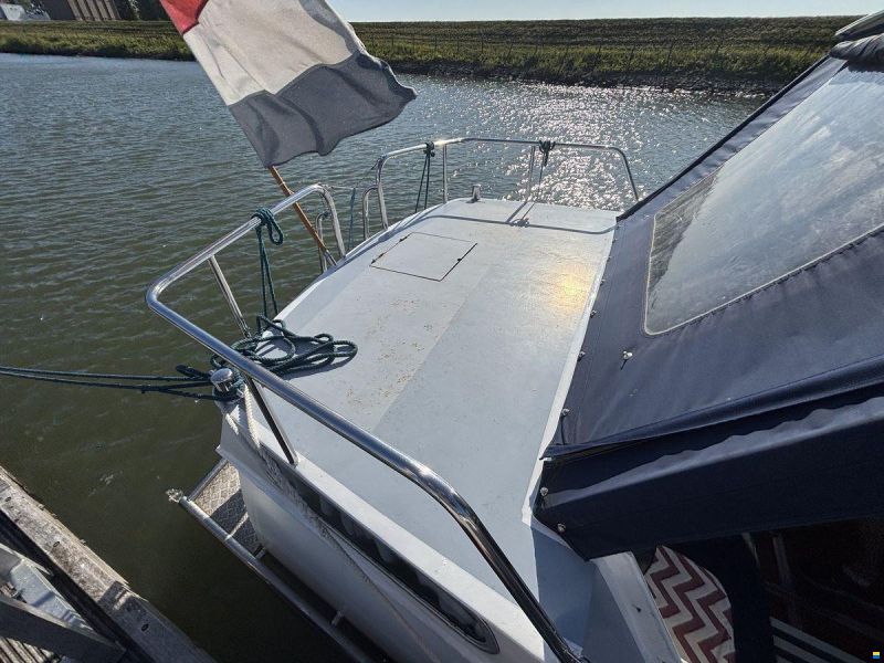 Meeuwkruiser 900