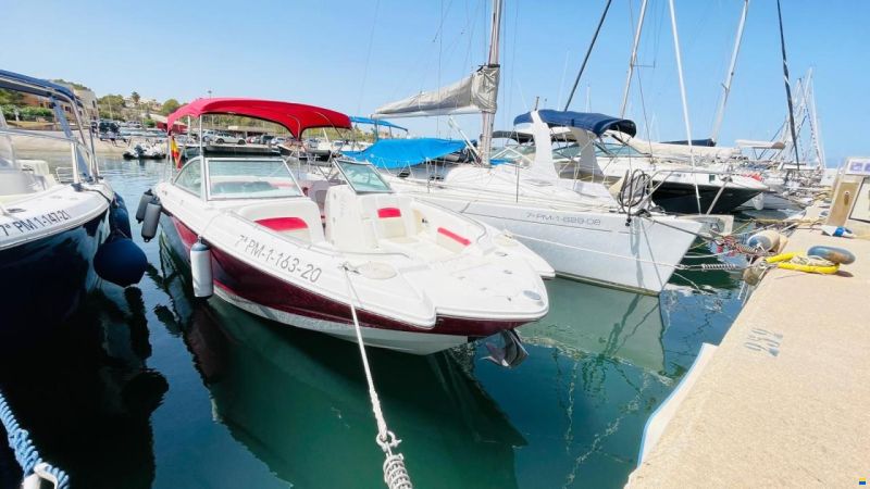 Chaparral 284 Sunesta