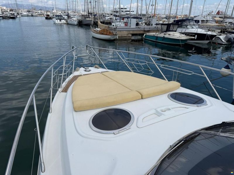 Cranchi Endurance 41