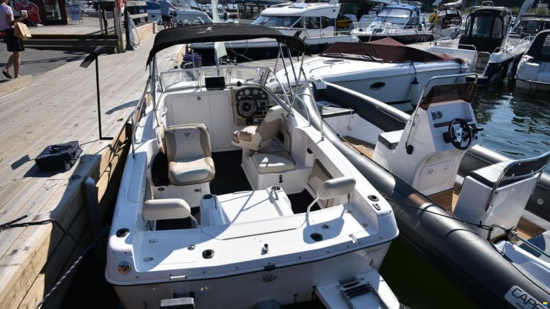 Campion 552i