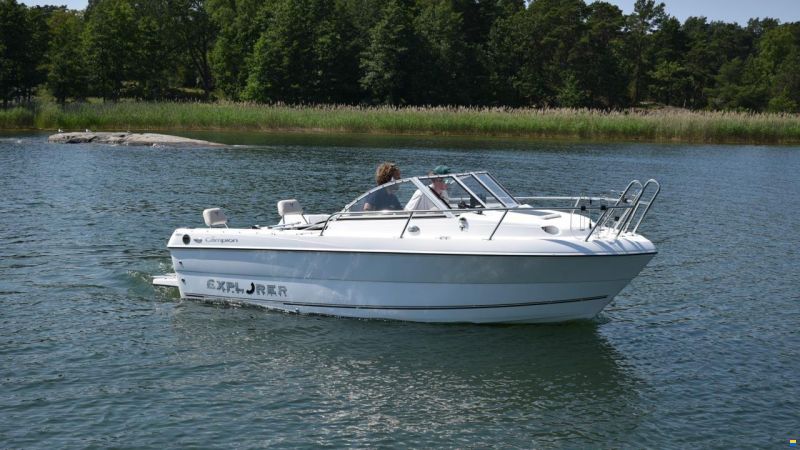 Campion 552i