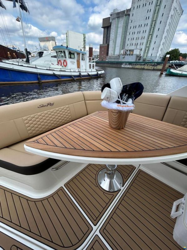 Sea Ray Sundancer 320