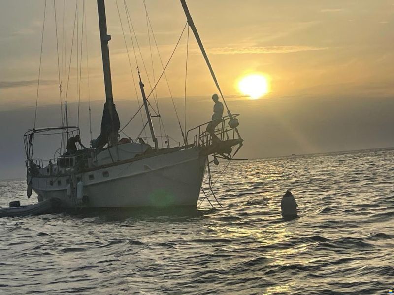 Mc Connel Marine Ltd Custom Pilot Cutter