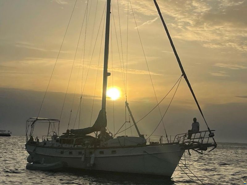 Mc Connel Marine Ltd Custom Pilot Cutter