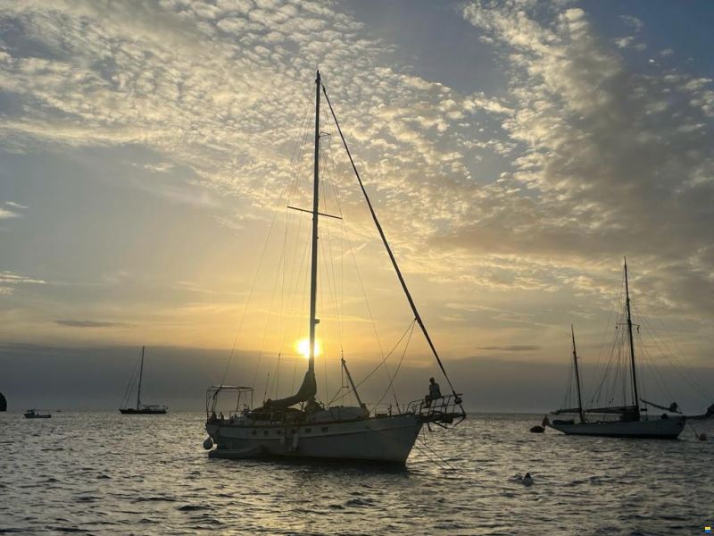 Mc Connel Marine Ltd Custom Pilot Cutter