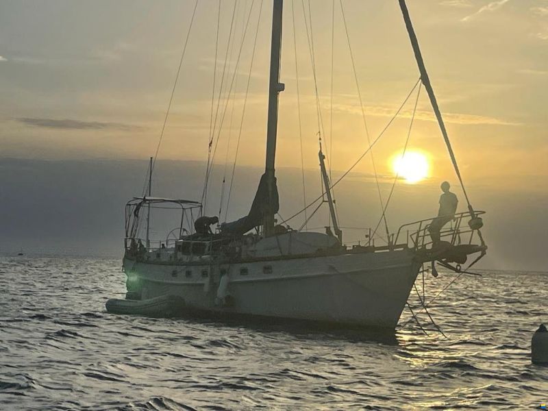 Mc Connel Marine Ltd Custom Pilot Cutter