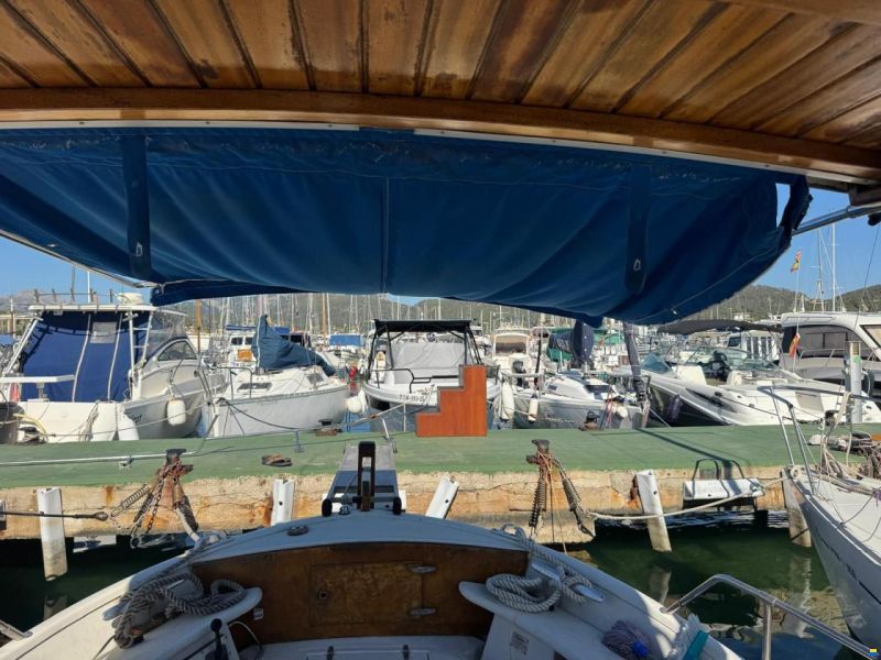 Copino 44