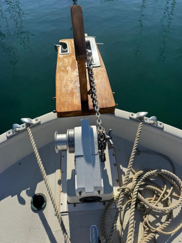 Copino 44