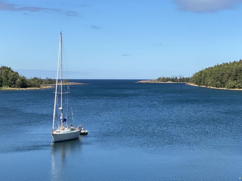 Bavaria 36 C
