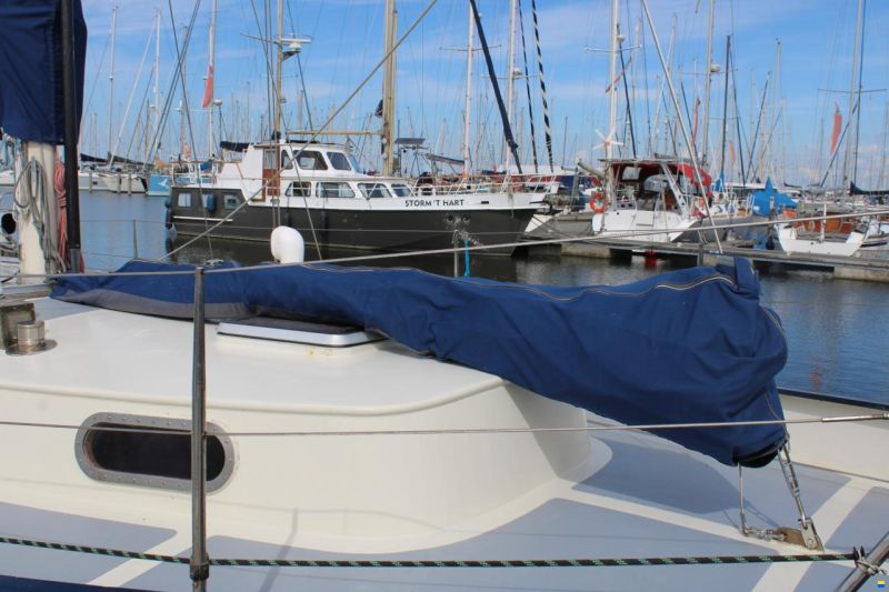 Shetland Sixaern