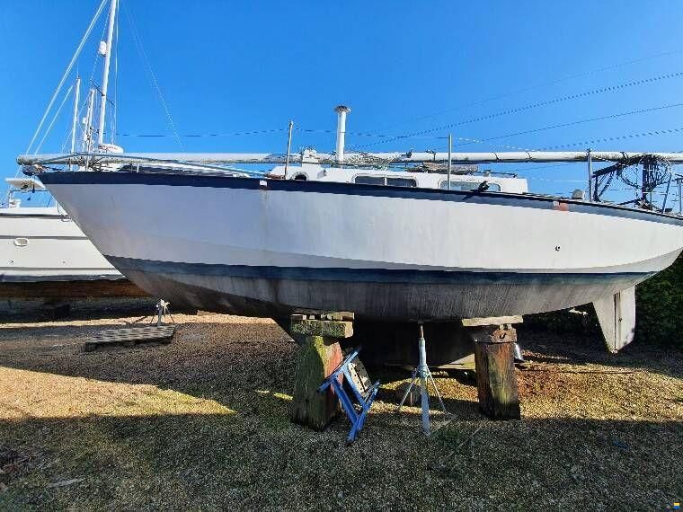 Classic Yacht Classic Kliever 11