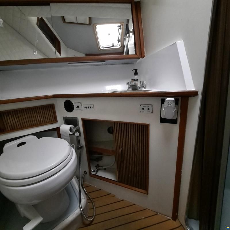 Sea Ray 390 Express