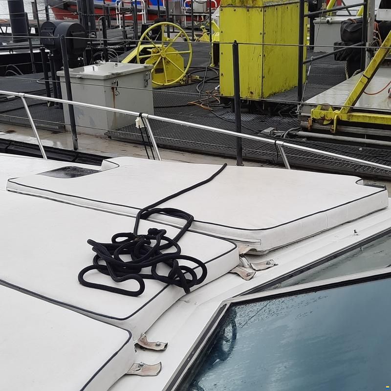 Sea Ray 390 Express