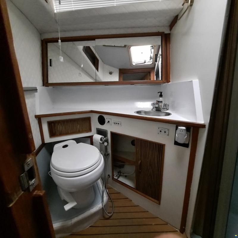 Sea Ray 390 Express