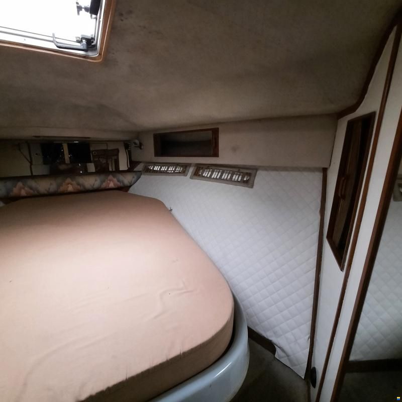 Sea Ray 390 Express