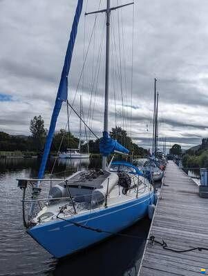 Comfort 30