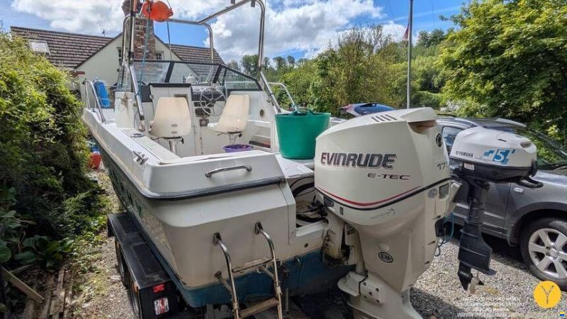 Bayliner Trophy Walkaround 2102