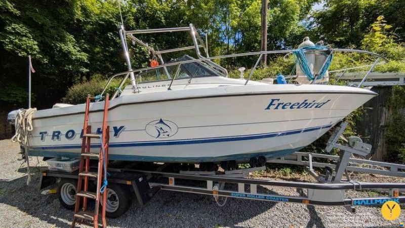 Bayliner Trophy Walkaround 2102