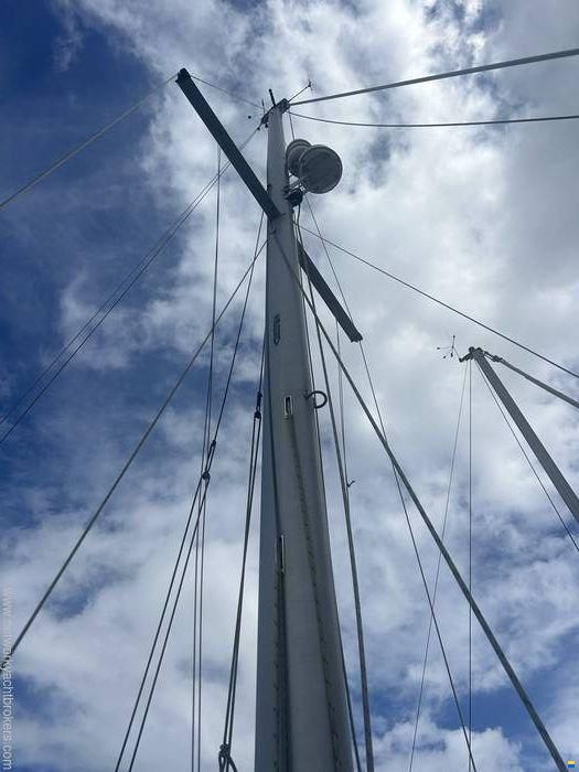 Westerly Griffon