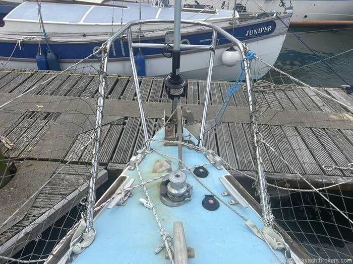 Westerly Griffon
