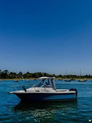 Bayliner Trophy 2102 walkaround