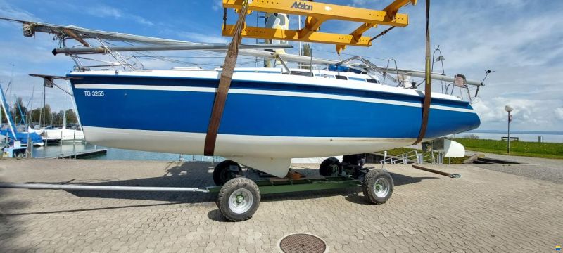 Janmor 31