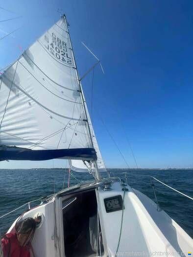Jeanneau 24.2