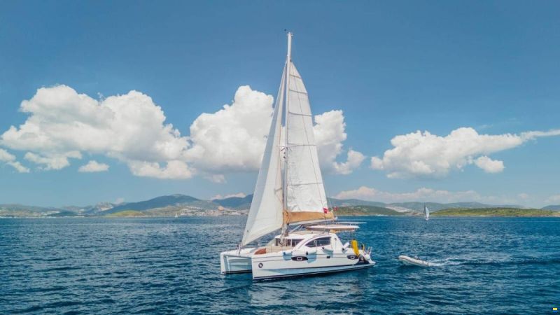 Leopard 38