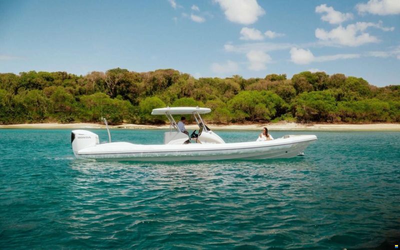Scorpion Twisted 34T