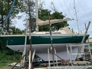 Nicholson 31