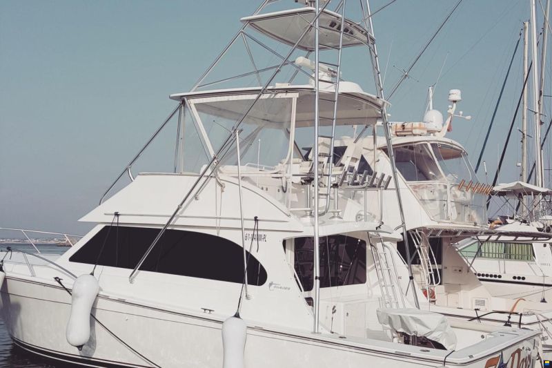 Unclassified 43 Sport Fisherman