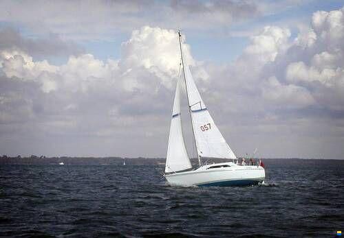 Hunter Ranger 245