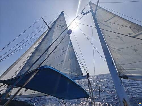 Oyster 39