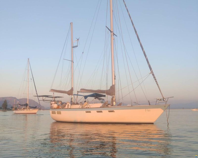 Oyster 39