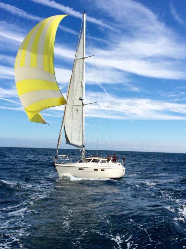 Southerly 115